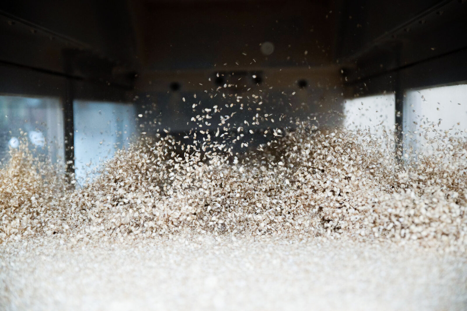 Wood shavings and debris blowing from an industrial machine behind a protective screen