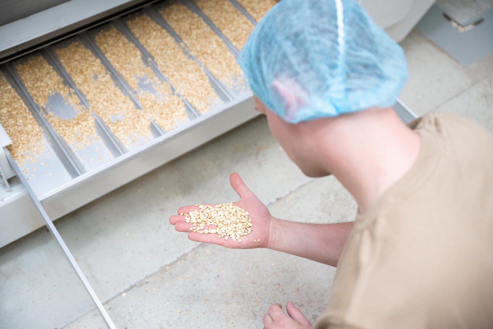 Hand holding dry grains of feed in front of a seed tray, close-up harvesting preparation indoors